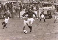 /album/galleria-fotografica/a425040-447325175301334-532853757-n-1-jpg/